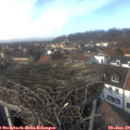 14_10-nest.jpg