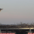 14_15-mast.jpg