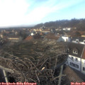 14_15-nest.jpg