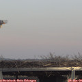 14_20-mast.jpg
