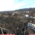 14_20-nest.jpg