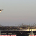 14_25-mast.jpg
