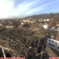 14_30-nest.jpg
