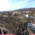 14_35-nest.jpg