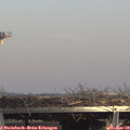 14_40-mast.jpg