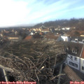14_40-nest.jpg