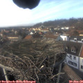 14_45-nest.jpg