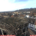 14_50-nest.jpg