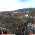 14_55-nest.jpg