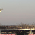 15_05-mast.jpg