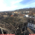 15_05-nest.jpg