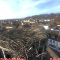 15_10-nest.jpg