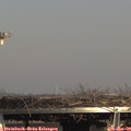 15_15-mast.jpg