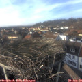 15_15-nest.jpg
