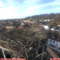 15_20-nest.jpg