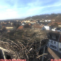 15_25-nest.jpg