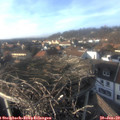 15_30-nest.jpg