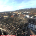 15_35-nest.jpg