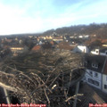 15_40-nest.jpg