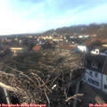 15_45-nest.jpg