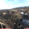 15_50-nest.jpg