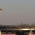 15_55-mast.jpg
