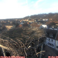 16_00-nest.jpg
