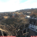 16_05-nest.jpg