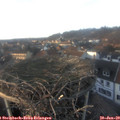 16_10-nest.jpg