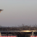 16_15-mast.jpg