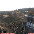 16_15-nest.jpg