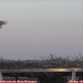 16_20-mast.jpg