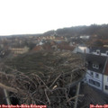 16_20-nest.jpg