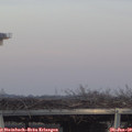 16_25-mast.jpg