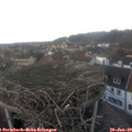16_25-nest.jpg