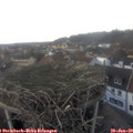 16_30-nest.jpg