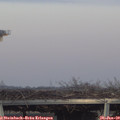 16_35-mast.jpg