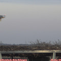 16_40-mast.jpg