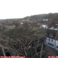 16_40-nest.jpg