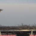 16_45-mast.jpg
