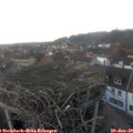 16_45-nest.jpg