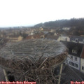 08_15-nest.jpg