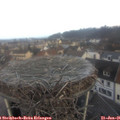 08_20-nest.jpg