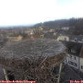 08_25-nest.jpg