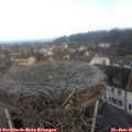 08_30-nest.jpg