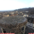 08_35-nest.jpg