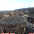 08_40-nest.jpg