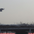 08_50-mast.jpg