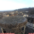 08_50-nest.jpg