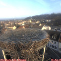 09_05-nest.jpg
